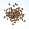 seed.jpg__PID:45bc958b-3fd6-4f46-a5fd-78124279cdfa